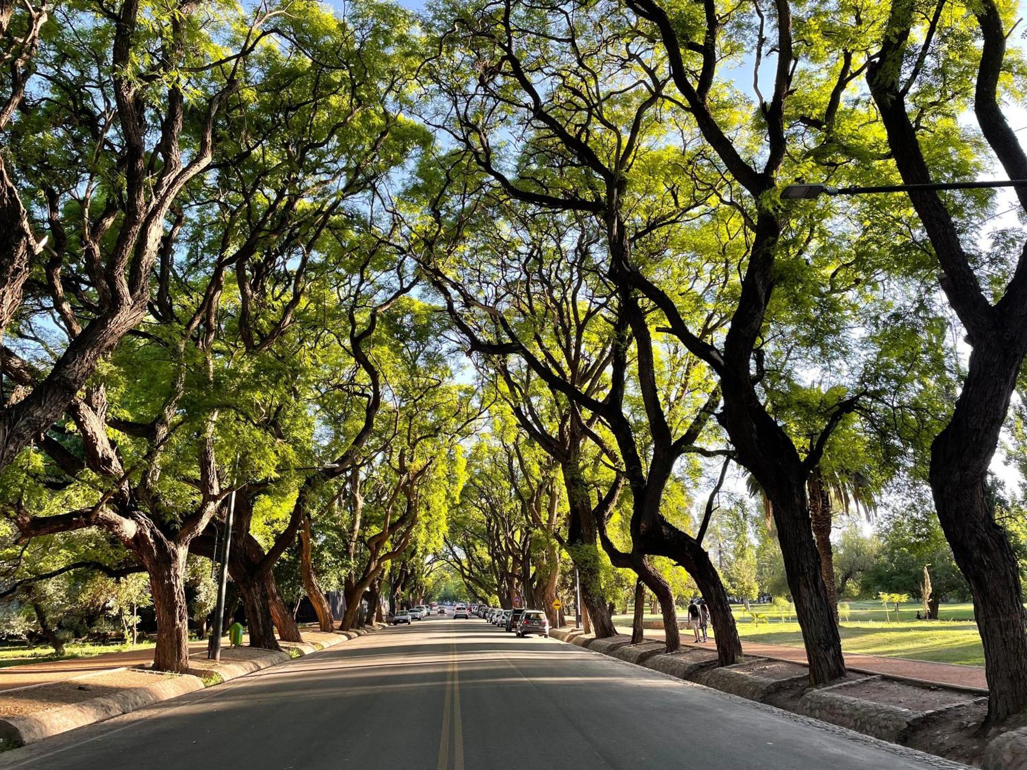 Terrazas Mitre * Mendoza